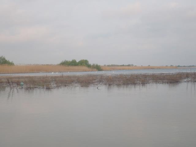 delta Mila 23 - sany5313.JPG